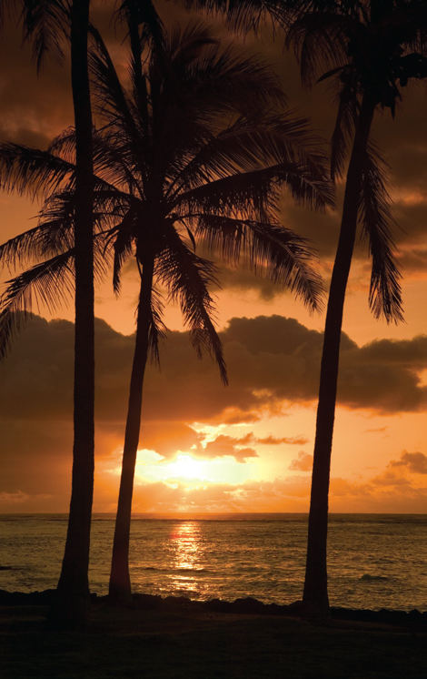 Jefferson Tours and Charters