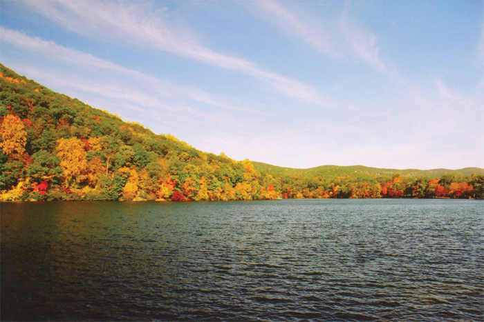 Jefferson Tours and Charters