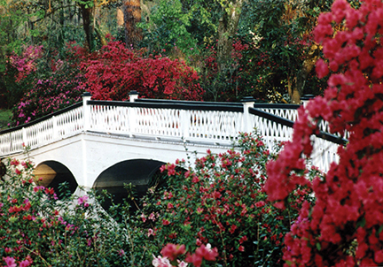 Jefferson Tours and Charters