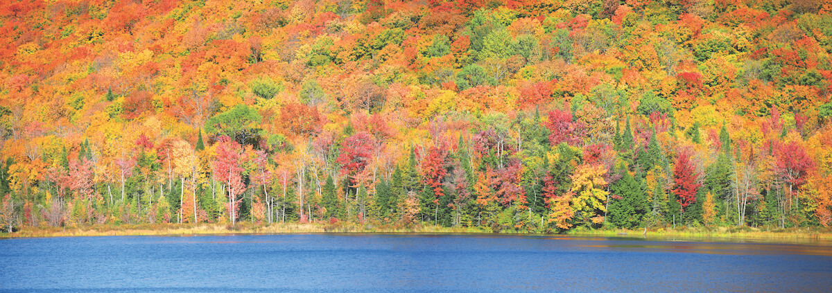 Jefferson Tours and Charters