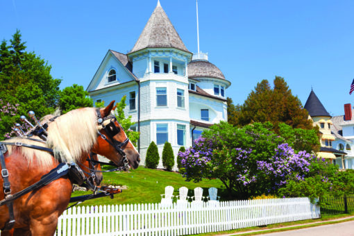 Mackinac Island and The Henry Ford Museum - Image 3
