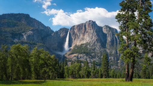 California and the Great Southwest Featuring Yosemite National Park - Image 3