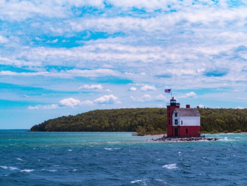 Mackinac Island and The Henry Ford Museum - Image 5