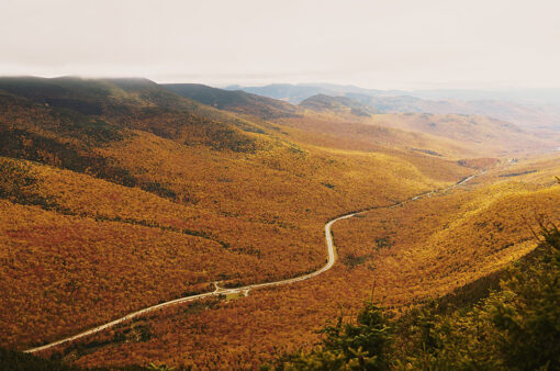New England Fall Foliage - SOLD OUT - Image 3