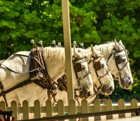 Mackinac Island