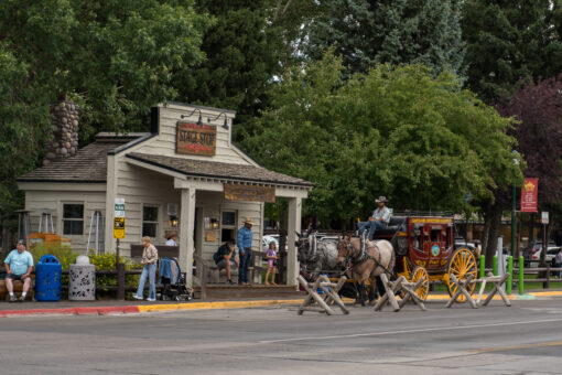 Yellowstone, Black Hills and the Canadian Rockies - Image 9