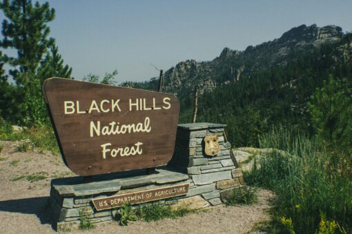 Yellowstone, Black Hills and the Canadian Rockies - Image 12