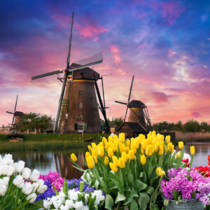 Holland, Michigan Tulip Time Festival