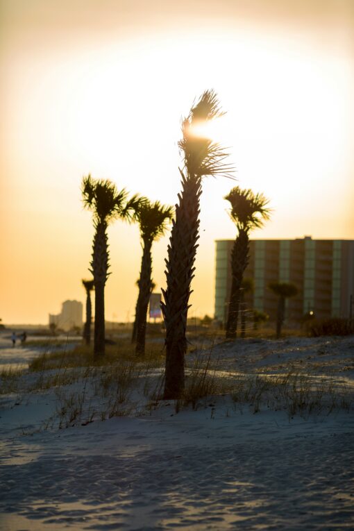 Biloxi, Mississippi: Southern Getaway - Image 7