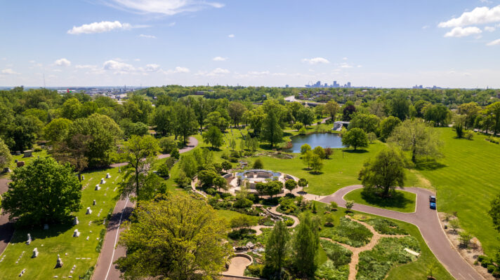 st. Louis