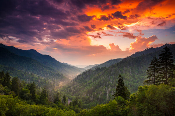Smoky Mountain Evening