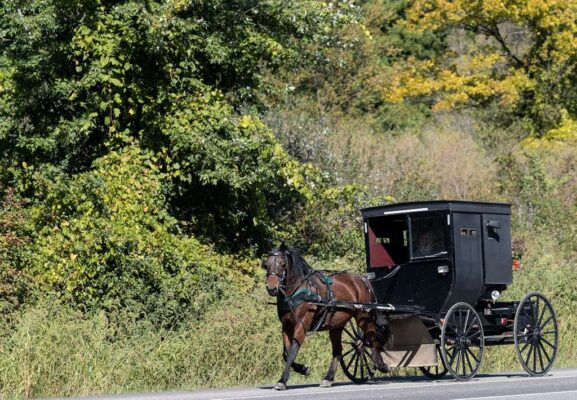 Shipshewana Amish