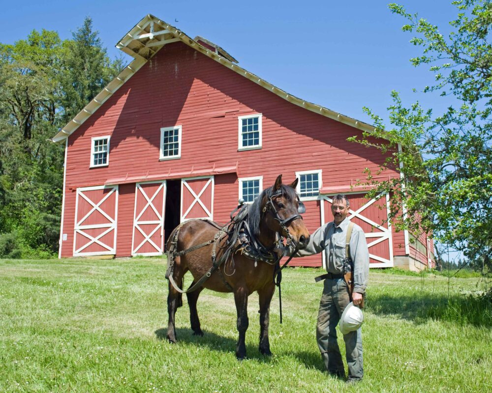 Shipshewana Amish