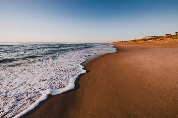 Sandy beach with gentle waves rolling onto shore, coastal homes visible on dunes under clear sky at dawn